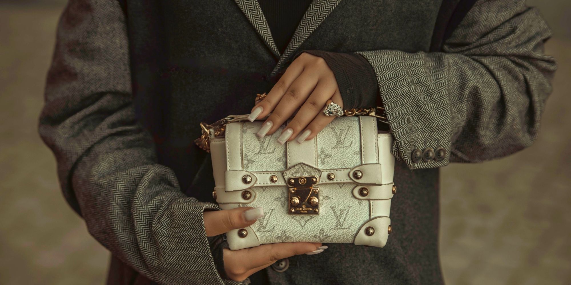 louis vuitton purse